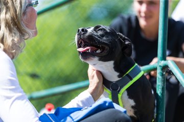 Bild 79 - BL Der Club an der Alster - Marienburger SC : Ergebnis: 3:6